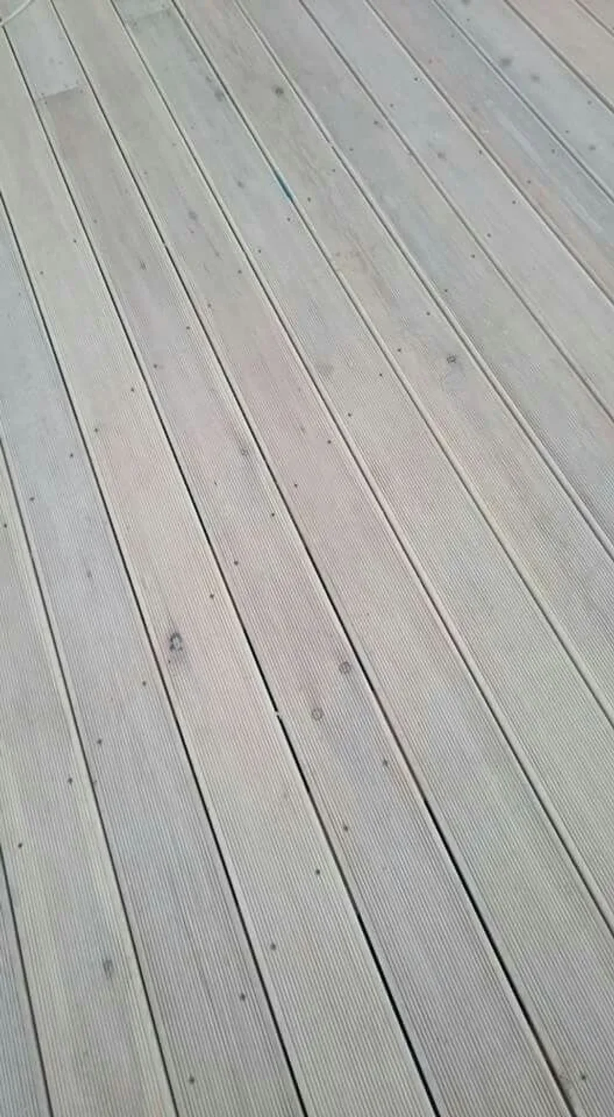 222810253_30549.jpg